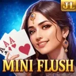 mini flush